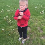 Liam brock - @liam.brock1 - Instagram
