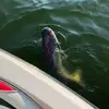 Liam Brock - @liam.brock35 - TikTok