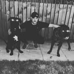 Liam Bryan - @liambryan94 - Instagram