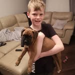 liam carlin - @liamcarlinn - Instagram
