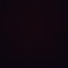 liamcarlin - @___apollo_the_dog___ - TikTok