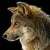 Liam Cavanaugh240 - @liamcav12345 - TikTok