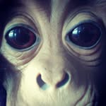Liam Cavanaugh - @vomitdroneface - Instagram