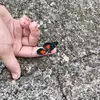 Liam Chavez - @liam.chavez03 - TikTok