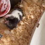 Liam Clements - @liamclements45 - Instagram