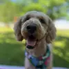 Liam conley - @liam.conley1 - TikTok