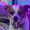 Liam Coyle - @liam69420694201 - TikTok