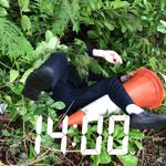 Liam Coyle - @liamcoyle5495 - Instagram