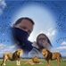 Liam Crowe - Facebook