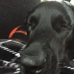 Liam Cuffe - @liam_cuffe9 - Instagram