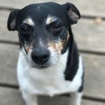Liamcuffey - @liamcuffey - Instagram