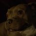 Liam Dalton - Facebook