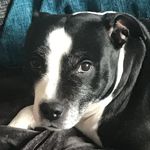 Liam Dalton - @liamdalton666 - Instagram