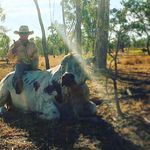 Liam Dalton - @liamdalton297 - Instagram