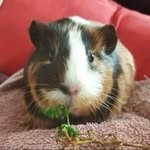 Liam deegan - @liamdeegan4 - Instagram