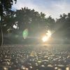 Liam - @liam.deegan - TikTok