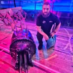 Liam Downing - Facebook