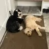 liam.ecclestone - @liam.ecclestone - TikTok