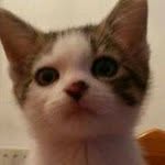 Liam Elliott - @liam.elliott.585 - Instagram