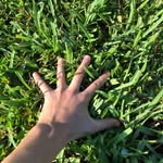 Liam Emerson - @the_gobblygook - Instagram