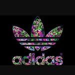 Liam Fields - @liamfields12 - Instagram