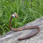Liam Fields - @liam.of.fields - Instagram