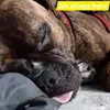 Liam Figueroa - @liam.figueroa39 - TikTok