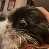 liamfinch07 - @liamfinch07 - TikTok