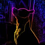 Liam - @liam_finegame - Instagram