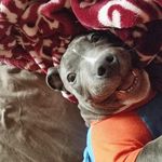 Liam Finnegan - @liam_wears_diapers - Instagram