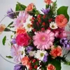 Liam Flowers - @lianflower28 - TikTok