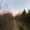 Liam_ford - @liam_ford2005 - TikTok