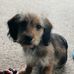 Liam Ford - Facebook