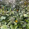 liam forde - @liam.forde8 - TikTok
