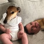 Liam Eggz Fordham - @lightning_eggz - Instagram