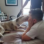 Liam Fordham - @ljfninja1020 - Instagram