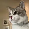 Liam - @liamfosterrr - TikTok