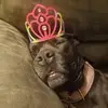 liam_frank27 - @liam_frank27 - TikTok
