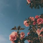 Liam Friedman - @liam.9986.51006 - Instagram