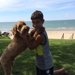Liam Friedman - @_frisbee_trick_shots_31_ - Instagram