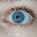 Liam Friedman - @liam_friedman8 - Instagram