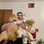 Liam Friedman - @ankle_biter13 - Instagram