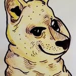 Liam Fromm - @frommliam - Instagram