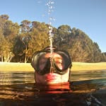 Liam Triggs - Fulton - @scubadiverliam - Instagram