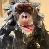 Liam big boy - @liam.gallegos5 - TikTok