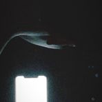 Liam Gallegos - Facebook