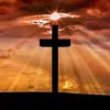 Liam_Garner ✝️ - @impactr6siege - TikTok