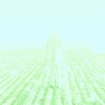 Liam Garstang - @liam_garstang - Instagram