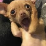 @liam.garza98 - Instagram