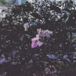 Liam González - @liam_garza_gonzalez - Instagram